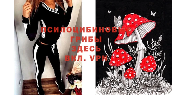 героин Богородицк