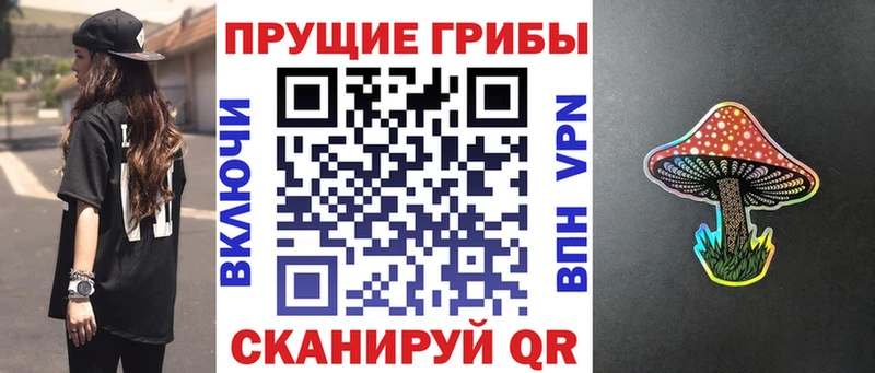 Купить Гремячинск Псилоцибиновые грибы GOLDEN TEACHER